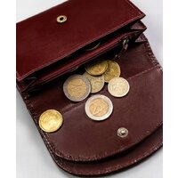 Peterson PTN 116-BO-7949 (винный) Image #13