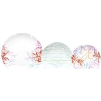 Tognana Madison Pacifico MC070185827