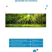 ФабрикаФресок Солнечный Зеленый Весенний Лес 1098270 (800x270) Image #5