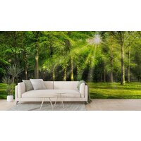 ФабрикаФресок Солнечный Зеленый Весенний Лес 1098270 (800x270) Image #3