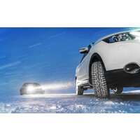 Ikon Nordman 7 SUV 285/60R18 116T (шипы) Image #7