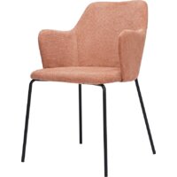 Bergenson Bjorn Dwigh BF-ACH-DW-CHL-PK (розовый)