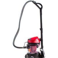 Arnica Vira [ET12200]