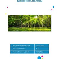 ФабрикаФресок Солнечный Зеленый Весенний Лес 1097270 (700x270) Image #5