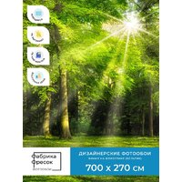 ФабрикаФресок Солнечный Зеленый Весенний Лес 1097270 (700x270) Image #4