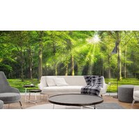 ФабрикаФресок Солнечный Зеленый Весенний Лес 1097270 (700x270) Image #3