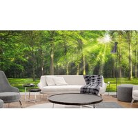 ФабрикаФресок Солнечный Зеленый Весенний Лес 1096270 (600x270) Image #3