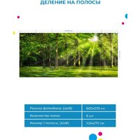 ФабрикаФресок Солнечный Зеленый Весенний Лес 1096270 (600x270) Image #5