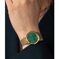 Timex TW2W87300 Image #6