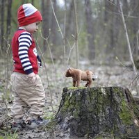 Hansa Сreation Бык 5841 (22 см) Image #5