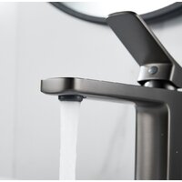 Shevanik S9901T Image #4