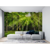 ФабрикаФресок Солнечный Зеленый Весенний Лес 1094270 (400x270) Image #3