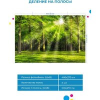 ФабрикаФресок Солнечный Зеленый Весенний Лес 1094270 (400x270) Image #5