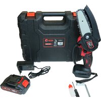 Edon ACS-18/4 (с 2-мя АКБ)