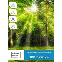 ФабрикаФресок Солнечный Зеленый Весенний Лес 1093270 (300x270) Image #4