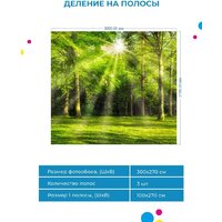 ФабрикаФресок Солнечный Зеленый Весенний Лес 1093270 (300x270) Image #5