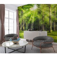 ФабрикаФресок Солнечный Зеленый Весенний Лес 1093270 (300x270) Image #3