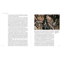 Альпина Паблишер. Идол, защищайся! Культ образов и иконоборческое насилие (Майзульс М.) Image #3