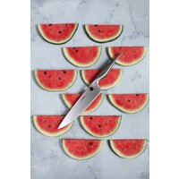 Samura Reptile SRP-0085 Image #12