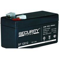 Security Force SF 12012 (12В/1.2 А·ч)
