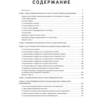 Бомбора. Спиральная динамика для бизнеса (Бехтерев С.В.) Image #4