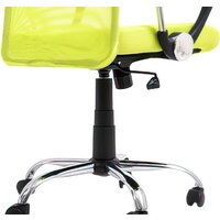 Calviano Xenos (зеленый) Image #2