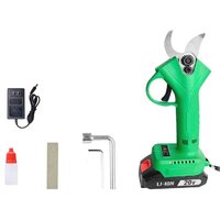 Zitrek GreenNer 20 082-1857 (с 1-им АКБ)