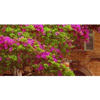 ФабрикаФресок Фреска Античная улочка с сиренью 113265 (300x265) Image #2