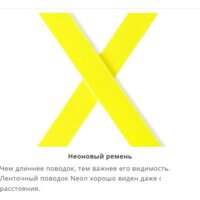 Flexi Giant 8 м 15568 (L, черный) Image #2