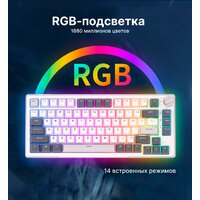 Royal Kludge RK-H81 RGB White Night (RK Cyan) Image #14