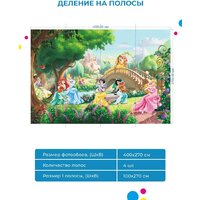 ФабрикаФресок Принцессы Детские Мульфильм 984270 (400x270) Image #5