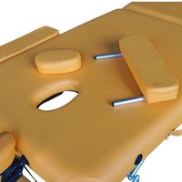 DFC Nirvana Elegant Lexe TS2010-M (горчичный) Image #2