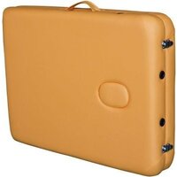 DFC Nirvana Elegant Lexe TS2010-M (горчичный) Image #6