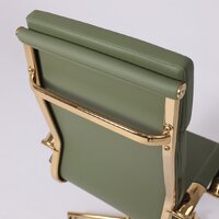 AksHome Indigo (зеленый/золотой) Image #12