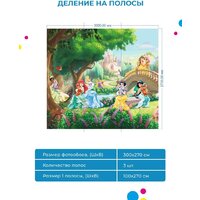 ФабрикаФресок Принцессы Детские Мульфильм 983270 (300x270) Image #5