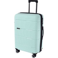 Pride РР-203 (3шт, мятный) Image #3