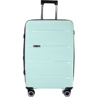 Pride РР-203 (3шт, мятный) Image #2