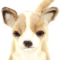 Hansa Сreation Чихуахуа 6295 (27 см) Image #11