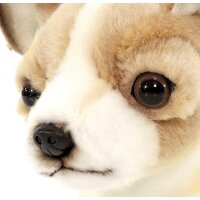 Hansa Сreation Чихуахуа 6295 (27 см) Image #10