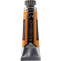 Rembrandt 210 01032102 (кадмий желтый темный)