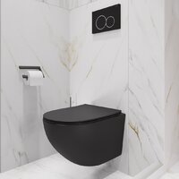 Lauter Sulzdorf с микролифтом и кнопкой смыва 219704E (белый/черный) Image #25