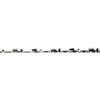 Champion A050-L-100RPRO Image #2