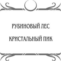 Черным-бело. Рубиновый лес. Дилогия (Гор Анастасия) Image #3