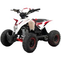 Квадроциклы