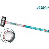 Total THSM61598
