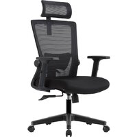 Evolution ErgoLine 1 (черный)