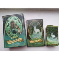 Эксмо. Таро Зачарованного леса (78 карт и руководство по работе с колодой в подарочном оформлении) (Везерстоун Лунаэ) Image #5