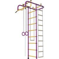 Пионер АМ (пурпурный/желтый)