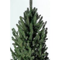 GreenTerra Элоди 1.8 м Image #5