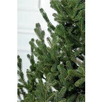 GreenTerra Элоди 1.8 м Image #8